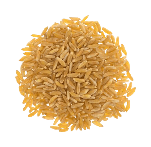 Organic KAMUT® Khorasan Wheat