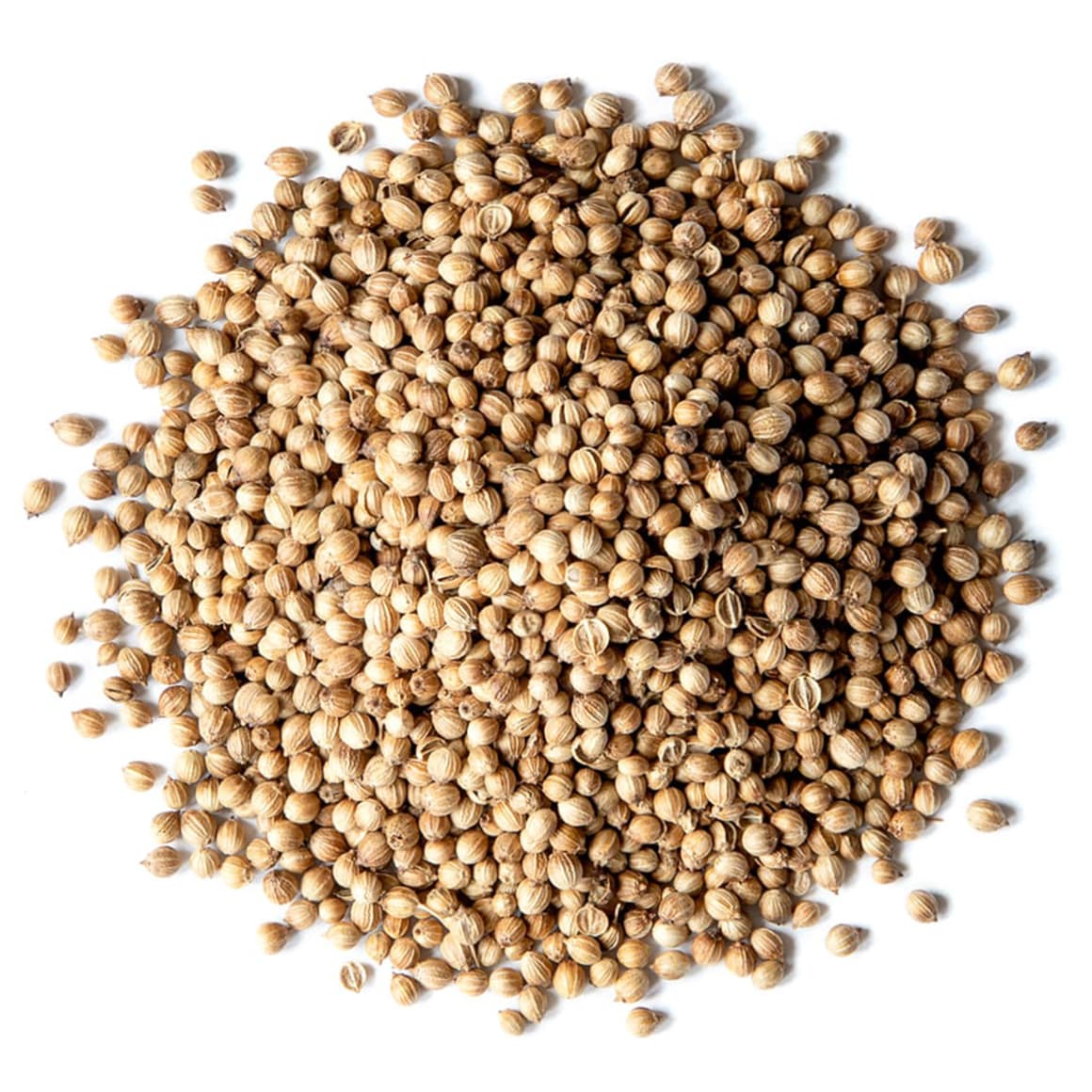 Coriander Seeds, Non-GMO Verified